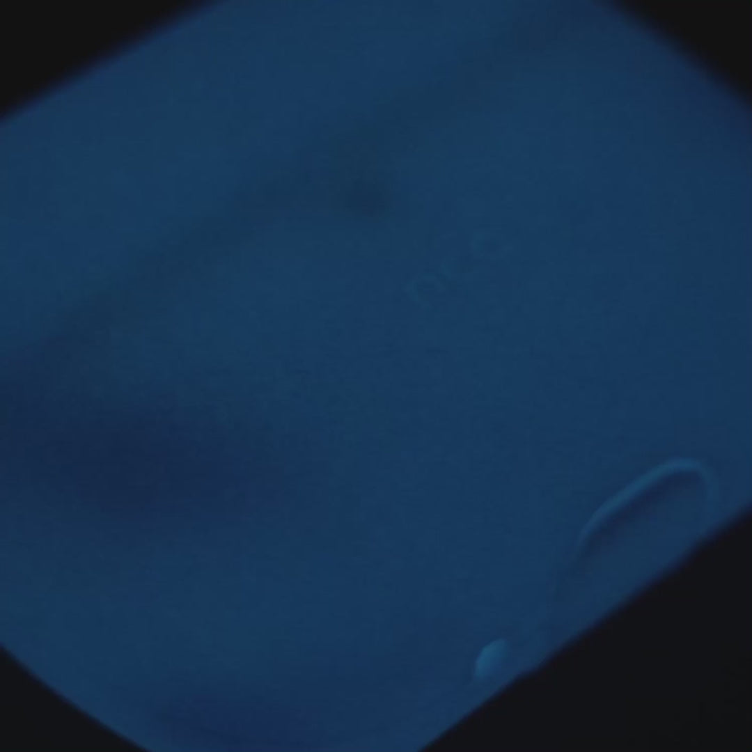 SiliconeGuard NCO para AirPods Pro 2da Gen